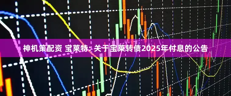 神机策配资 宝莱特: 关于宝莱转债2025年付息的公告