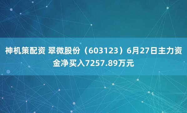 神机策配资 翠微股份（603123）6月27日主力资金净买入7257.89万元